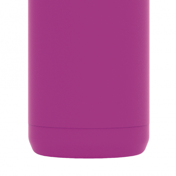 SOLID PURPLE PRIDE 630 ML